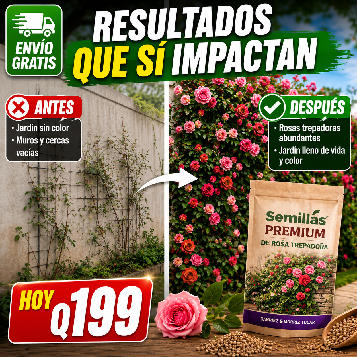 OFERTA LIMITADA - Semillas de Rosas Trepadoras + ENVIO GRATIS 🚚