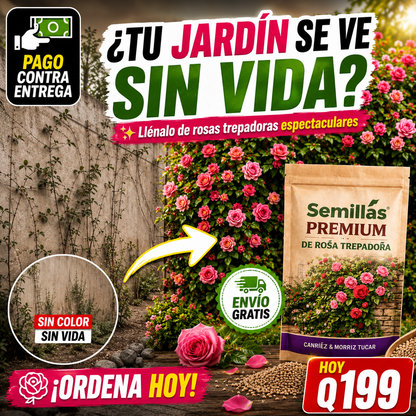 OFERTA LIMITADA - Semillas de Rosas Trepadoras + ENVIO GRATIS 🚚