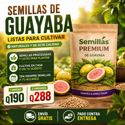 "OFERTA ESPECIAL" - Semillas de Guayaba Naturales + ENVIO GRATIS 🚚