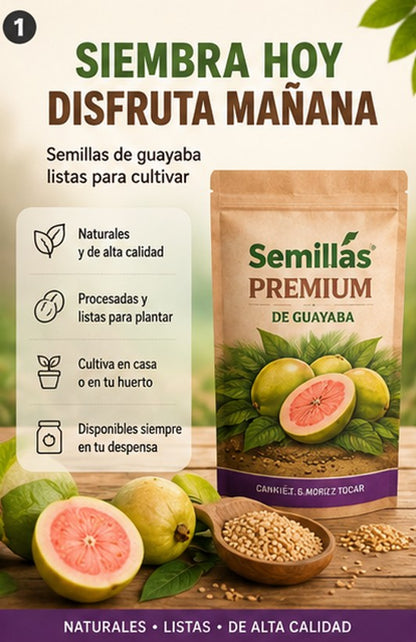 "OFERTA ESPECIAL" - Semillas de Guayaba Naturales + ENVIO GRATIS 🚚