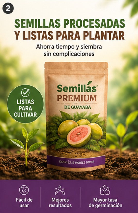 "OFERTA ESPECIAL" - Semillas de Guayaba Naturales + ENVIO GRATIS 🚚