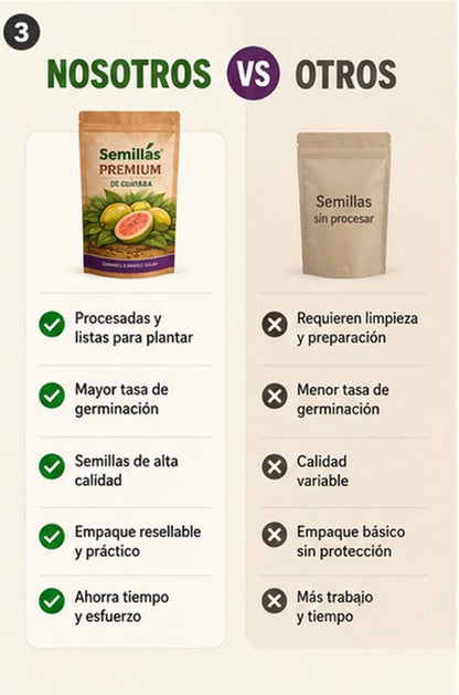 "OFERTA ESPECIAL" - Semillas de Guayaba Naturales + ENVIO GRATIS 🚚