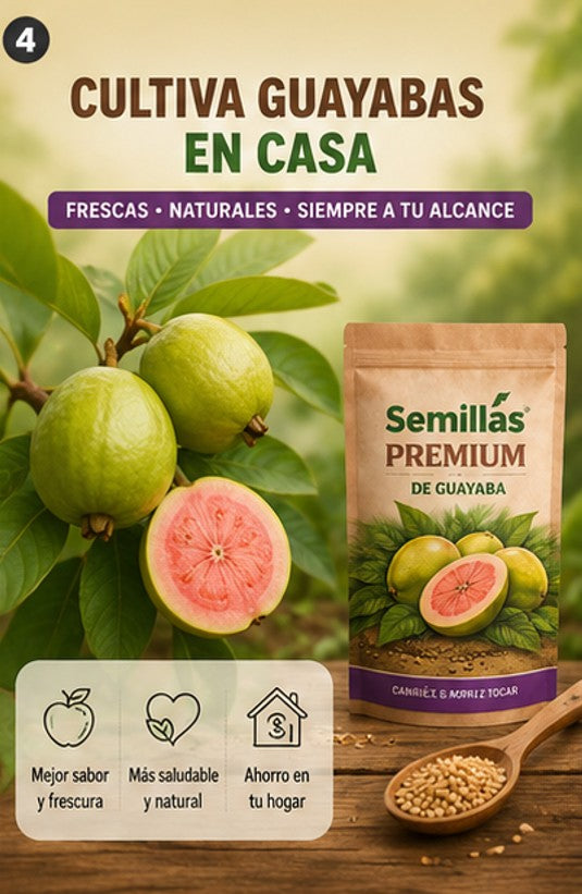 "OFERTA ESPECIAL" - Semillas de Guayaba Naturales + ENVIO GRATIS 🚚
