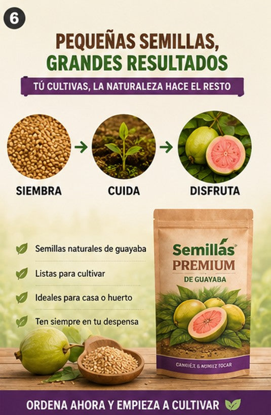 "OFERTA ESPECIAL" - Semillas de Guayaba Naturales + ENVIO GRATIS 🚚